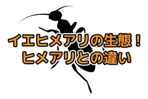 イエヒメアリ　被害